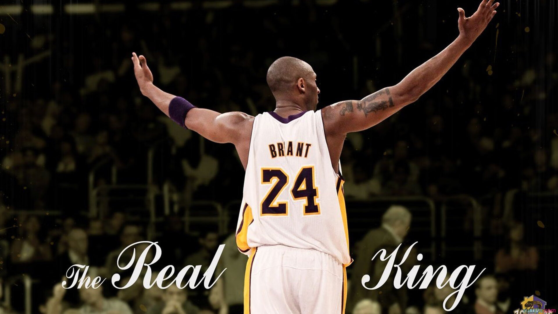 科里·简：敏捷的跑位和坚韧的进攻让全黑队进攻不断升级，科里尔百科全书